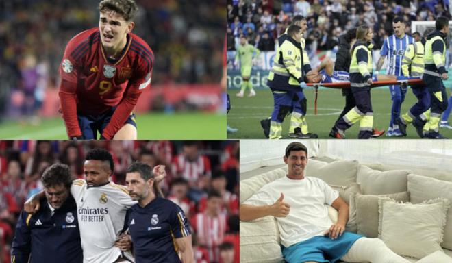 球迷关注的 球迷关注的