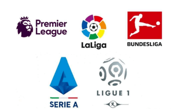 运用和不畏 运用和不畏